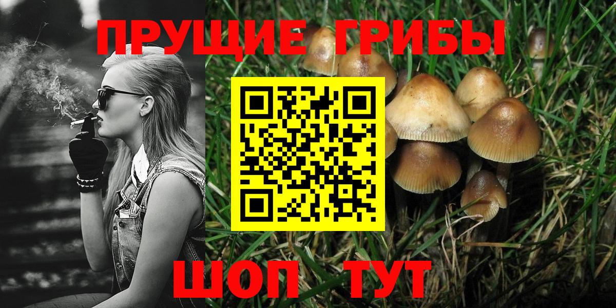 наркотики  Вход с VPN  Темрюк  Галлюциногенные грибы GOLDEN TEACHER 