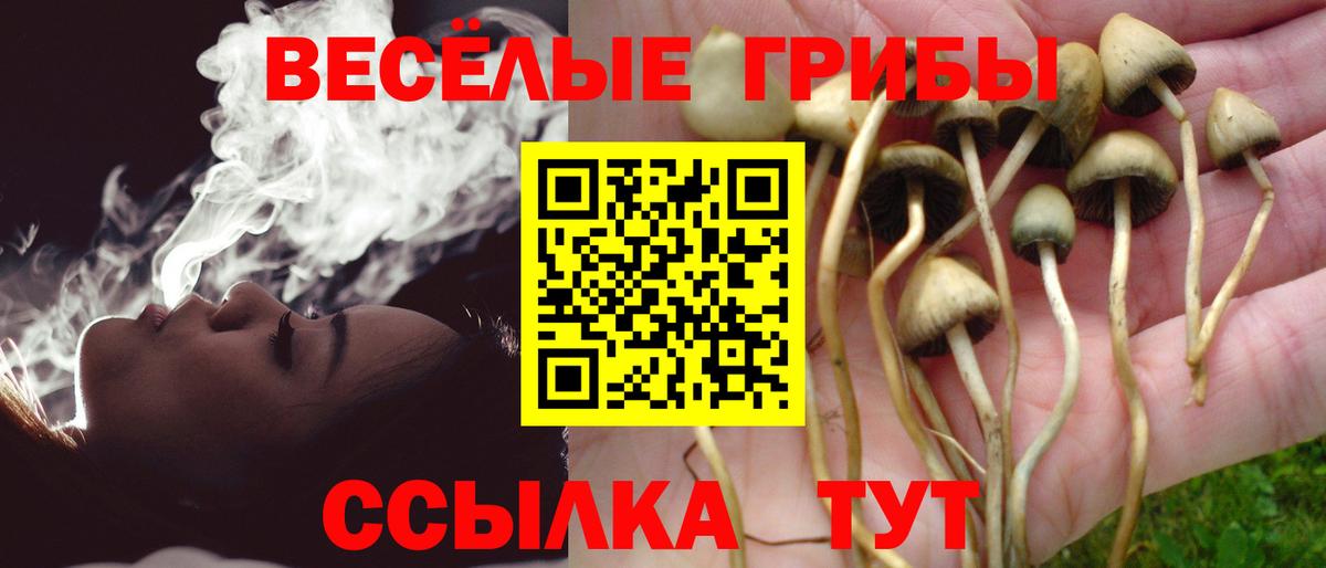 Галлюциногенные грибы мухоморы Темрюк