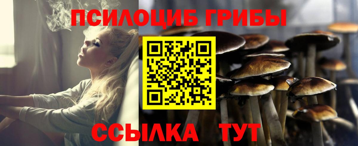 Галлюциногенные грибы Psilocybe  Галлюциногенные грибы прущие грибы  Темрюк 